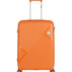 valise 20 kg