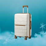 valise cabine black friday