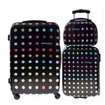 valise david jones