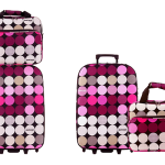 valise david jones