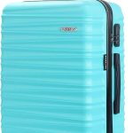 valise moyenne